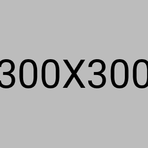 Premium Cotton T-Shirt